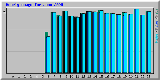 Hourly usage for June 2025