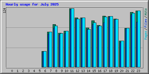 Hourly usage for July 2025