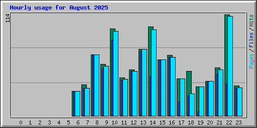 Hourly usage for August 2025