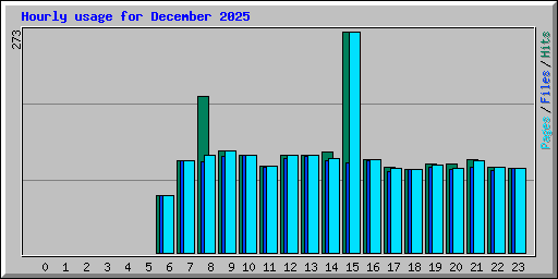 Hourly usage for December 2025