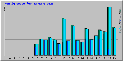 Hourly usage for January 2026